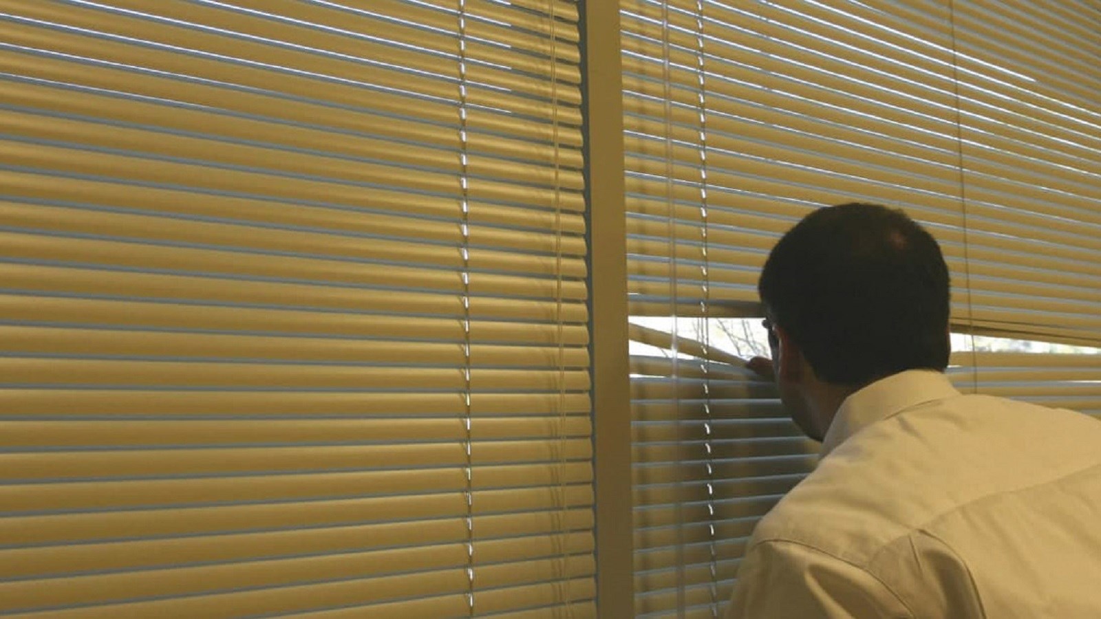 بیگانه‌هراسی از کجا آمد؟