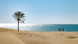 کویر در آغوش دریا