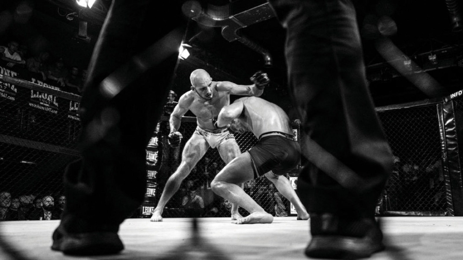 آماده برای مبارزۀ نهایی: چطور باشگاه‌های رزمی به محل نشر ایده‌های راست افراطی تبدیل شدند؟