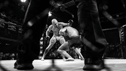 آماده برای مبارزۀ نهایی: چطور باشگاه‌های رزمی به محل نشر ایده‌های راست افراطی تبدیل شدند؟