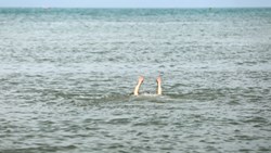 دریا شما را برای خودش می‌خواهد