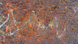 مهمان آرامش و سکوت