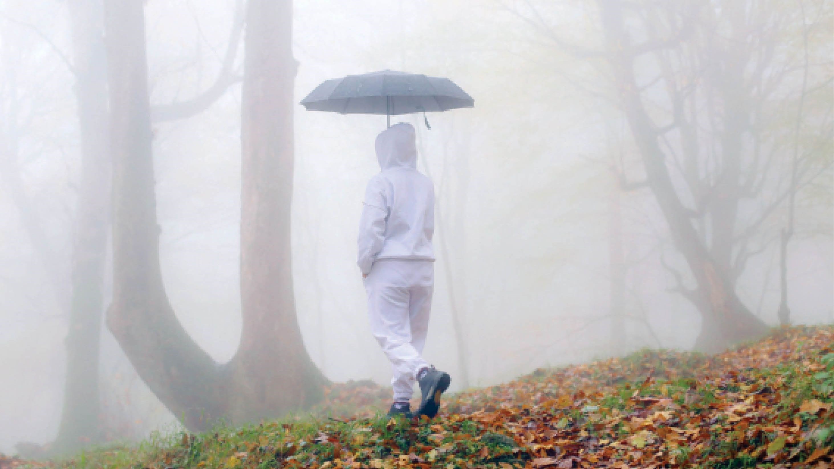 زیر سایه درختان نفرین شده