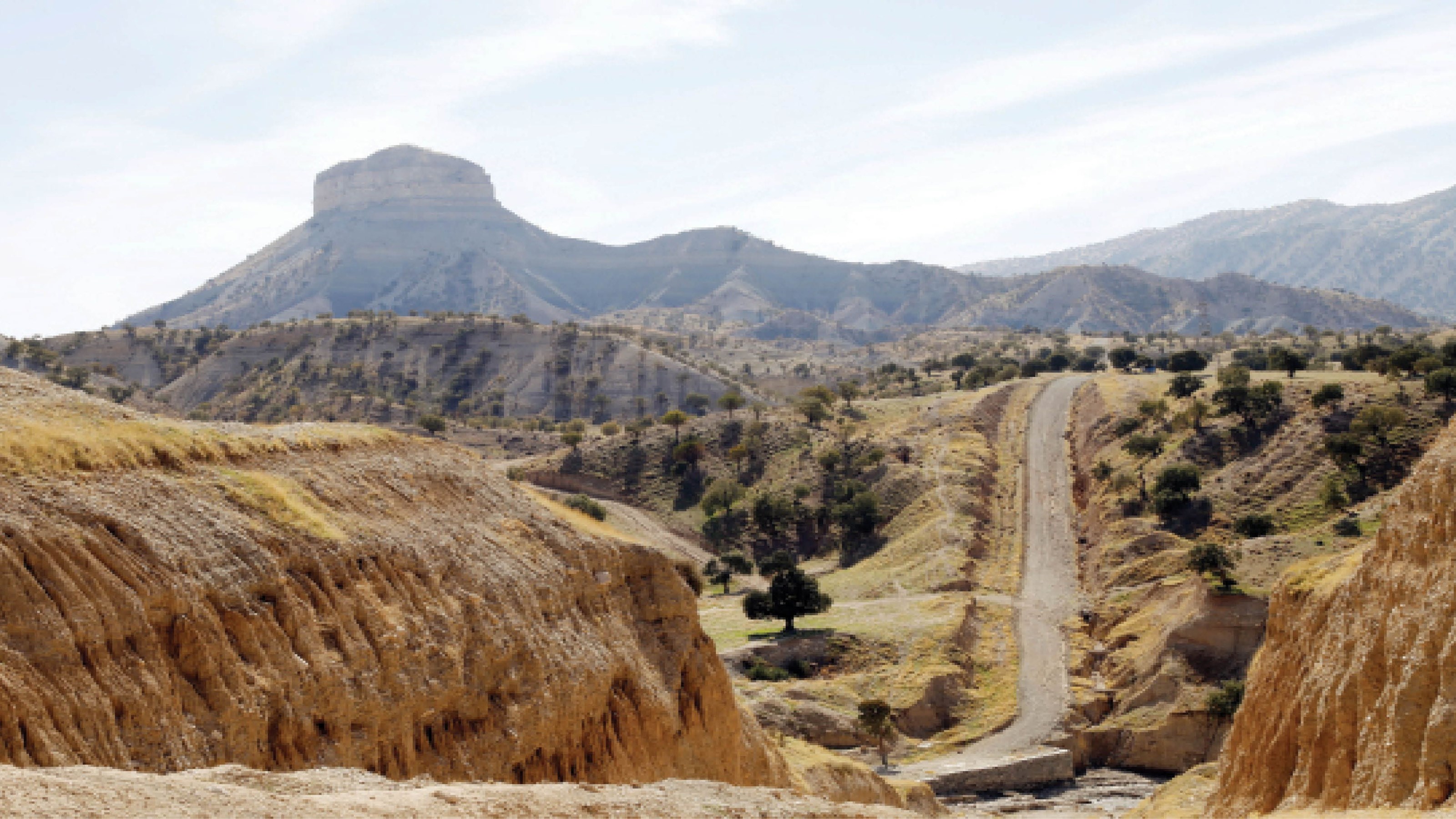 با بلوط‌ها همسفر شوید