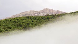 چطور برای جنگل‌نوردی آماده شویم