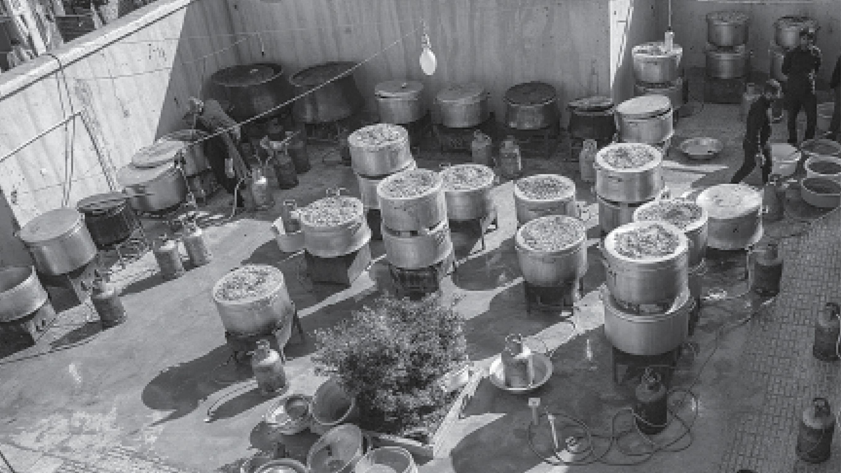 اینجا جای قناعت نیست