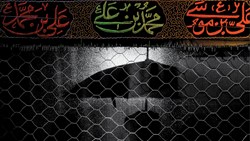 عملیات مخفی اطعام