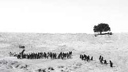 بلندگو و چند یادگار ذهنی