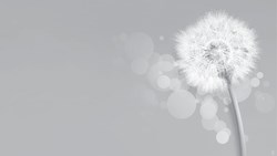 دل‌های بزرگ و دست‌های کوچک دعا