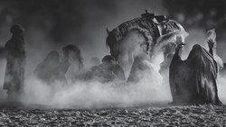 دیگر گریه نمی‌کنم