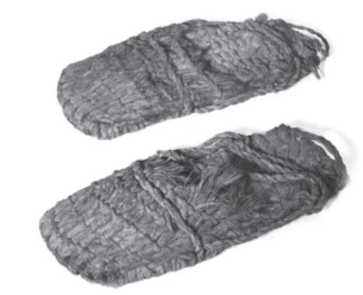 تصویر یک کفش قدیمی