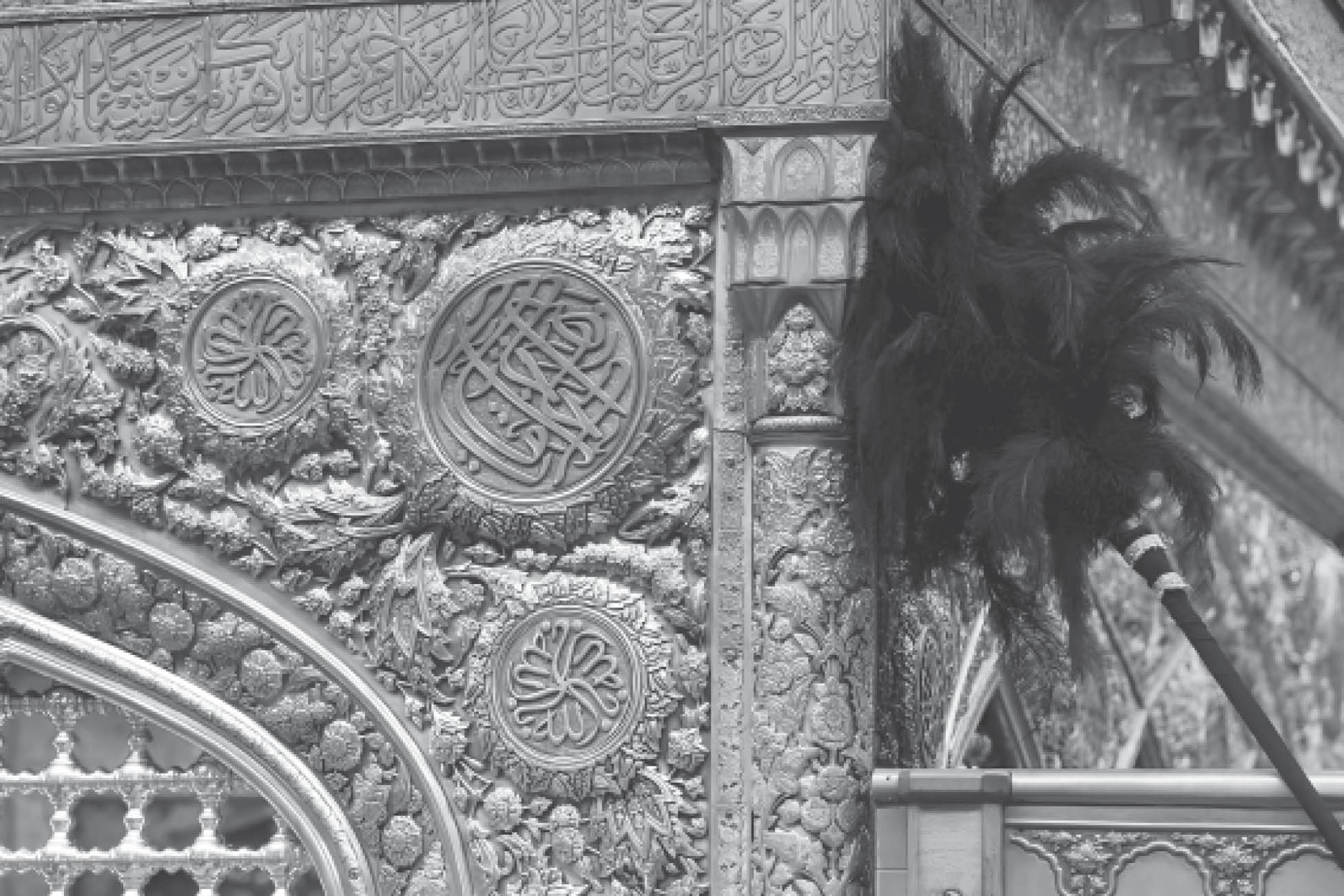 تصویر یک جاروی پردار در حرم
