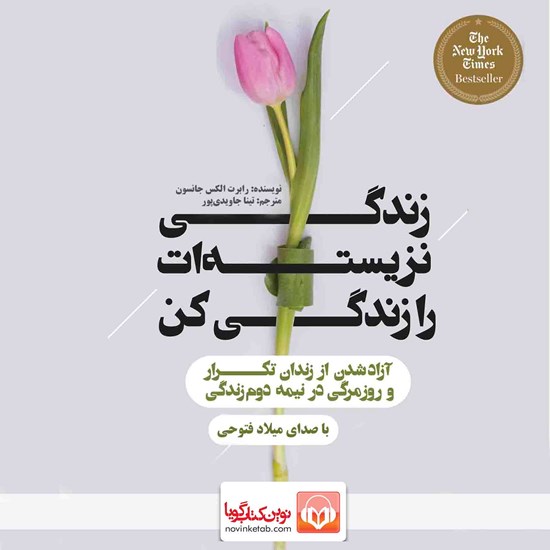 تصویر جلد کتاب صوتی زندگی نزیسته ات را زندگی کن