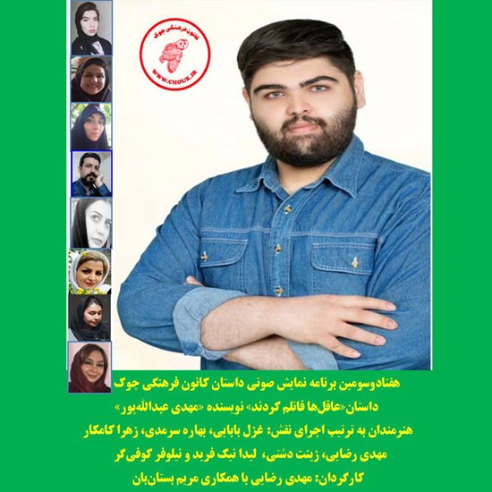تصویر جلد کتاب صوتی عاقلها قاتلم کردند