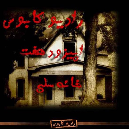 تصویر جلد کتاب صوتی خانه سلی