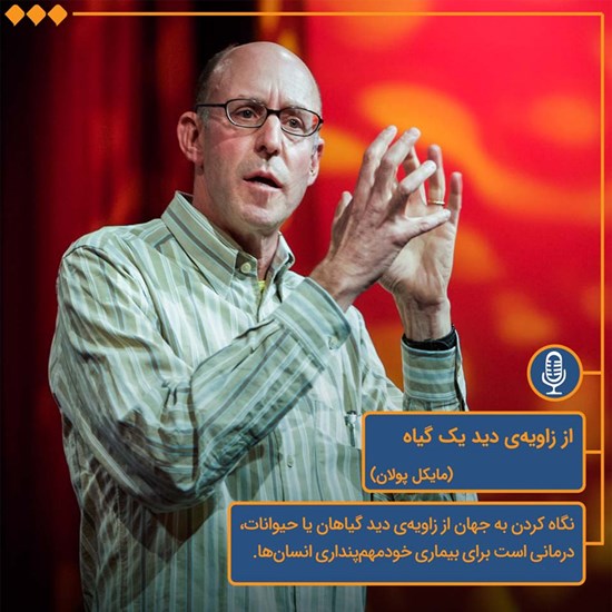 تصویر جلد کتاب صوتی از زاویه دید گیاه