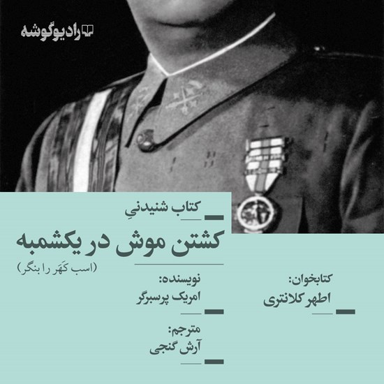 تصویر جلد کتاب صوتی کشتن موش در یکشمبه