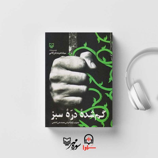 تصویر جلد کتاب صوتی گمشده دره سبز