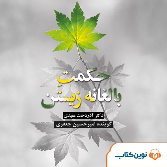 تصویر جلد کتاب صوتی حکمت بالغانه زیستن