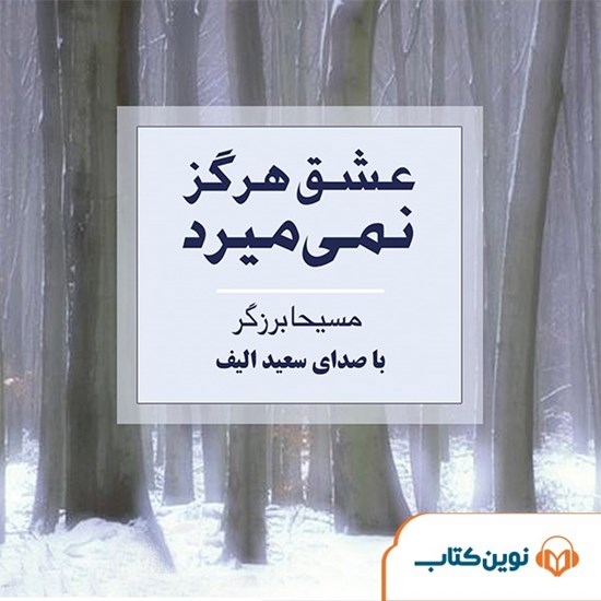 تصویر جلد کتاب صوتی عشق هرگز نمی میرد
