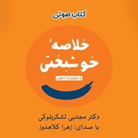 کتاب صوتی خلاصه خوشبختی اثر مجتبی لشکربلوکی