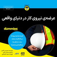 تصویر جلد کتاب صوتی عرضه نیروی کار در دنیای واقعی