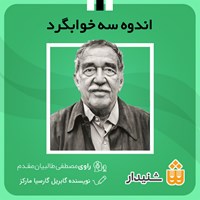 تصویر جلد کتاب صوتی اندوه سه خوابگرد