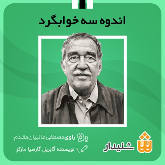 تصویر جلد کتاب صوتی اندوه سه خوابگرد