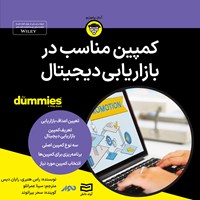 کتاب صوتی کمپین مناسب در بازاریابی دیجیتال اثر راس هنبری