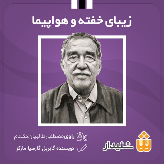 تصویر جلد کتاب صوتی زیبای خفته و هواپیما