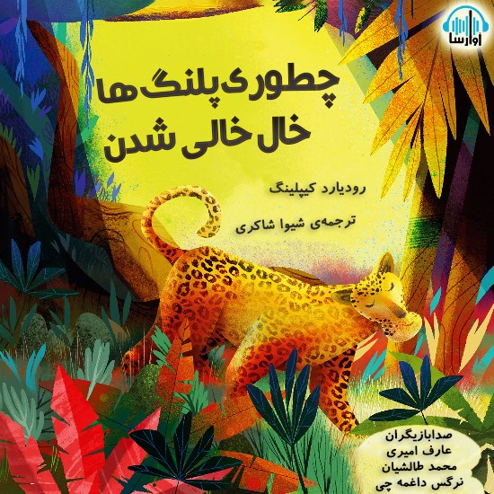 تصویر جلد کتاب صوتی چطوری پلنگ ها خال خالی شدن