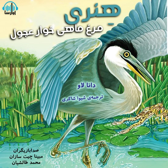 تصویر جلد کتاب صوتی هنری مرغ ماهی خوار عجول