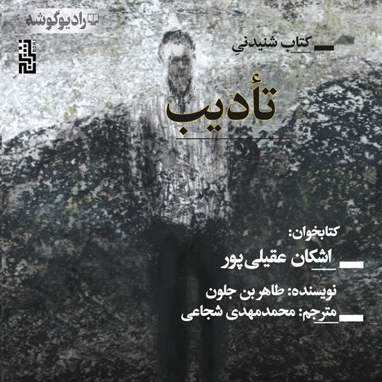 تصویر جلد کتاب صوتی تأدیب