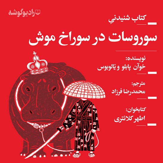 تصویر جلد کتاب صوتی سور و سات در سوراخ موش