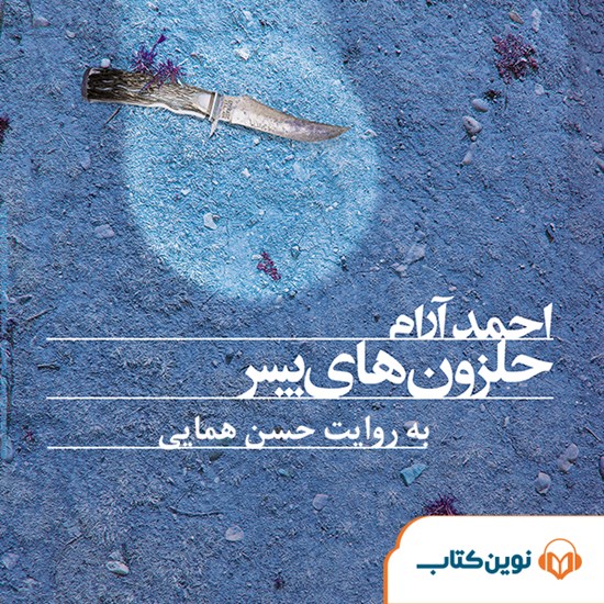 تصویر جلد کتاب صوتی حلزون های پسر