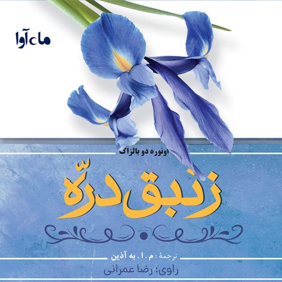 تصویر جلد کتاب صوتی زنبق دره