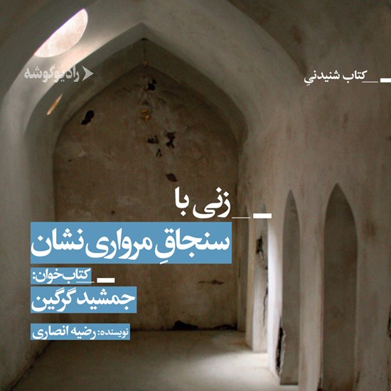 تصویر جلد کتاب صوتی زنی با سنجاق مرواری نشان