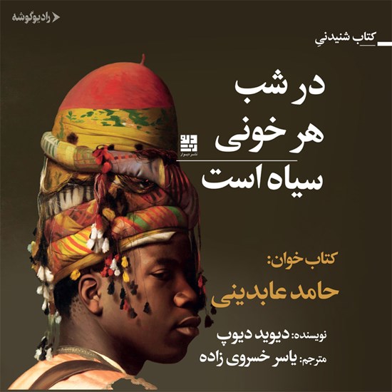 تصویر جلد کتاب صوتی در شب هر خونی سیاه است