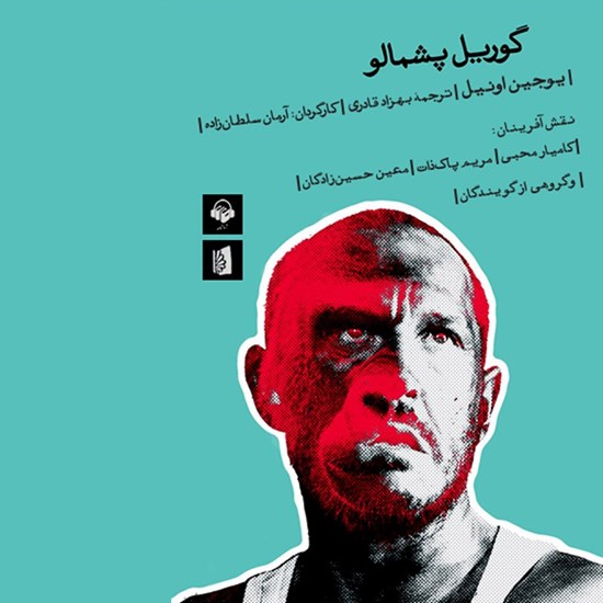تصویر جلد کتاب صوتی گوریل پشمالو