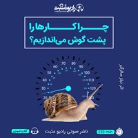 کتاب صوتی چرا کارها را پشت گوش می‌ اندازیم؟ اثر نیلز سالزگبر