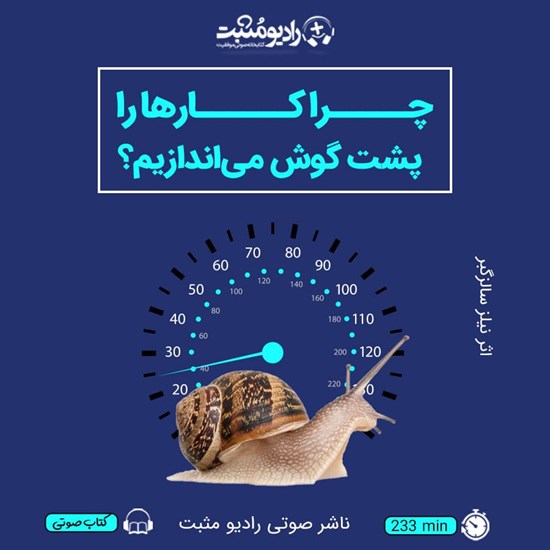 تصویر جلد کتاب صوتی چرا کارها را پشت گوش می اندازیم؟