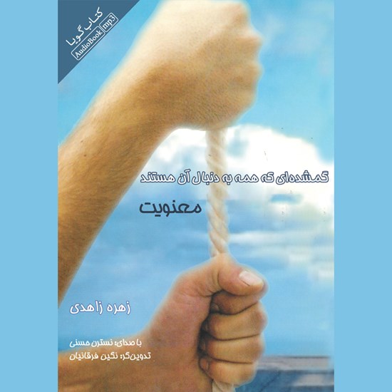 تصویر جلد کتاب صوتی گمشده‌ ای که همه به دنبال آن هستند