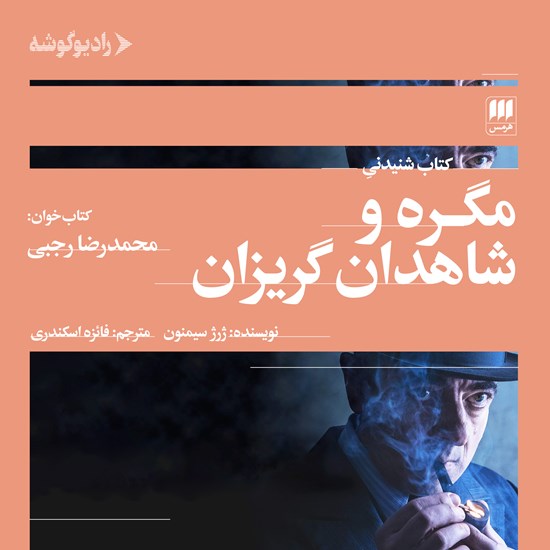 تصویر جلد کتاب صوتی مگره و شاهدان گریزان