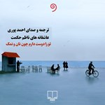 تصویر جلد کتاب صوتی تو را دوست دارم چون نان و نمک