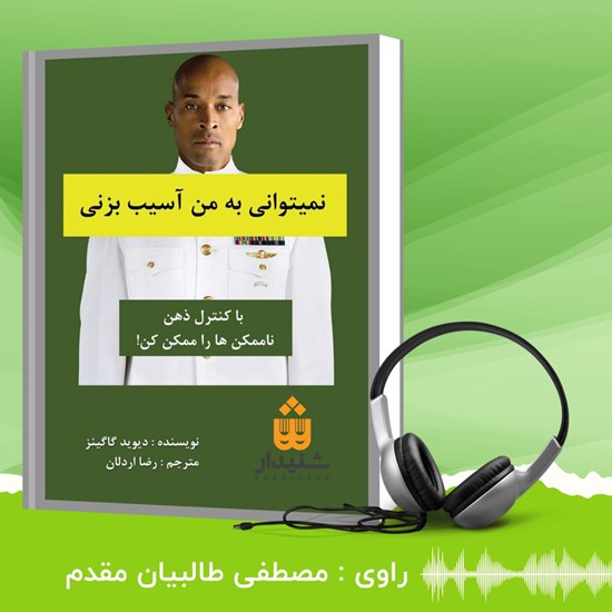 تصویر جلد کتاب صوتی نمی توانی به من آسیب بزنی