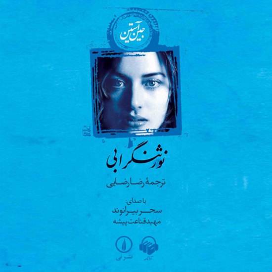 تصویر جلد کتاب صوتی نورثنگر ابی