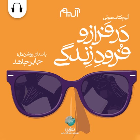تصویر جلد کتاب صوتی آلبوم کتاب صوتی در فراز و فرود زندگی