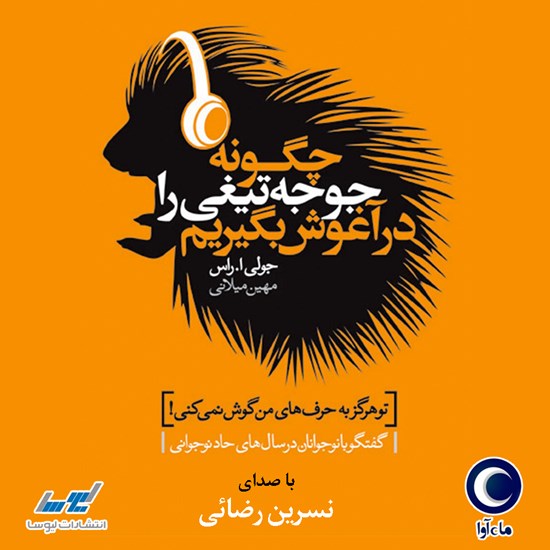 تصویر جلد کتاب صوتی چگونه جوجه تیغی را در آغوش بگیریم