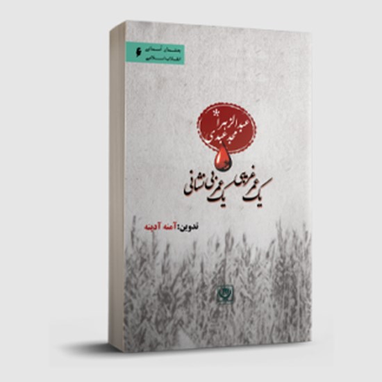 تصویر جلد کتاب صوتی یک عمر غریبی یک عمر بی نشانی