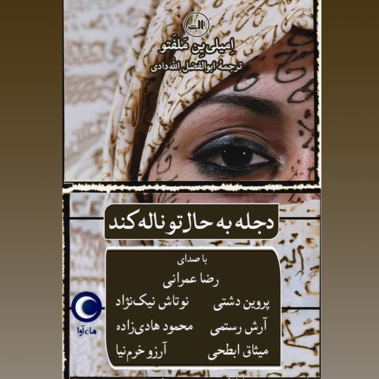 تصویر جلد کتاب صوتی دجله به حال تو ناله کند
